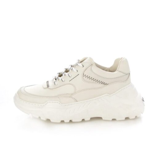 P524899U_208.jpg Scutum /スゥクートゥム