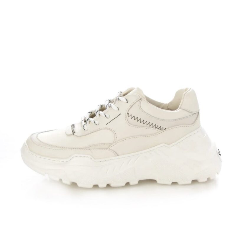 Scutum /スゥクートゥム