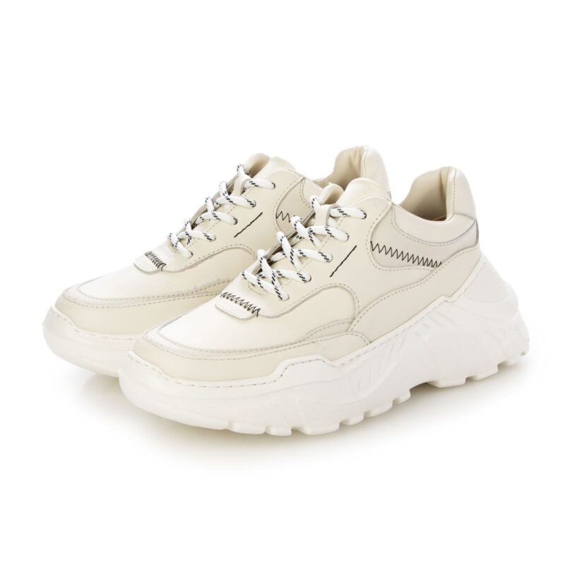 Scutum /スゥクートゥム