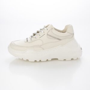 Scutum /スゥクートゥム