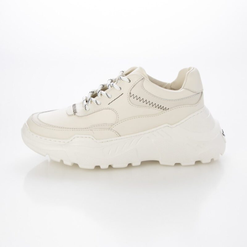 Scutum /スゥクートゥム