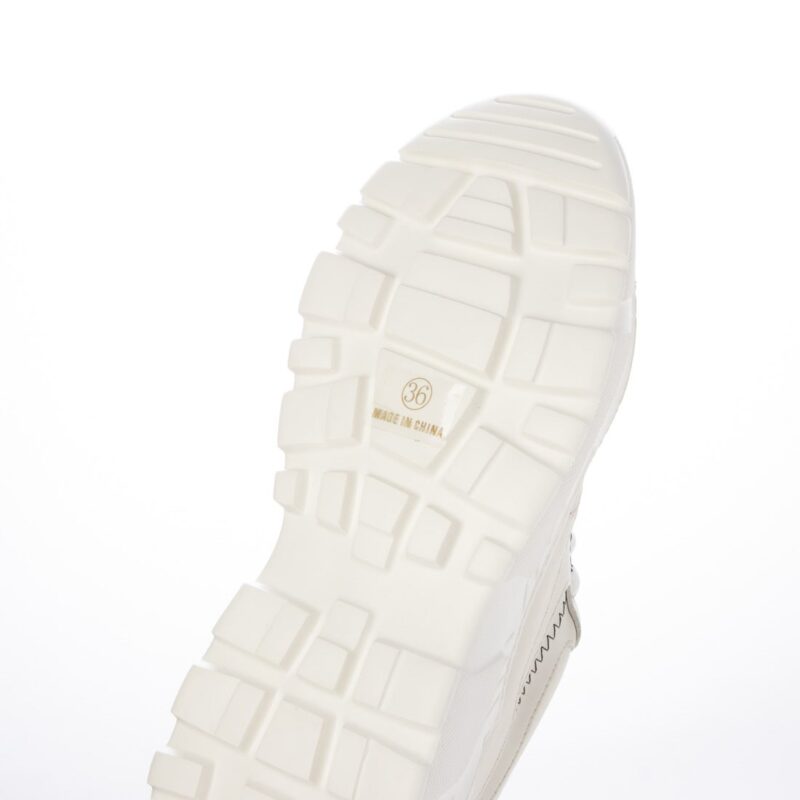 Scutum /スゥクートゥム